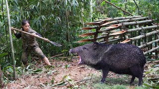 breaking into wild boars den being attacked by wild boar skills wild boar trap survival alone [upl. by Ralston481]