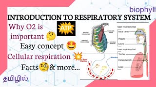 RESPIRATORY SYSTEM IN TAMIL types process phases Parts importance of O2 [upl. by Lesser]