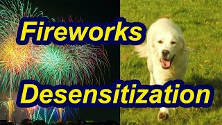 How to desensitize your dog to fireworks [upl. by Egarton36]