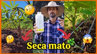 🌿🌿Seca mato para limpar sua hortao melhor herbicida Diquati🌿💪 [upl. by Nnylhtak]