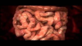 LIMPIEZA INTESTINAL Y SU IMPORTANCIA EN NUESTRO ORGANISMO [upl. by Ahsemal]