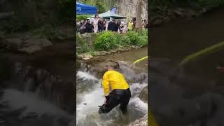 Duck race Dyserth RNLI noduckswereharmed [upl. by Suzann858]