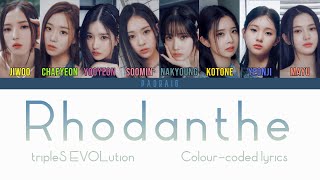 tripleS트리플에스 EVOLution  Rhodanthe Colourcoded lyrics [upl. by Kori]