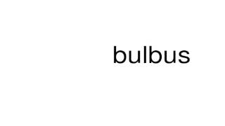 How to pronounce bulbus [upl. by Tav481]