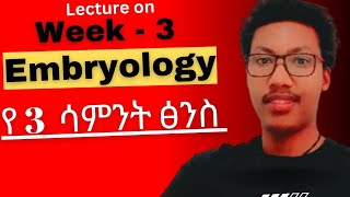 Week  3️⃣ Embryology የሦስተኛው ሳምንት የፅንስ እድገት gastrulation third week embryo development ethiopia [upl. by Anivek]