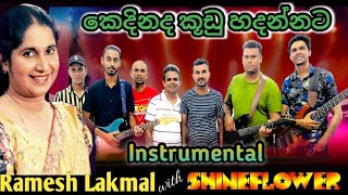 Kedinada Kudu Hadannata Enne කෙදිනද කූඩු හදන්නට Niranjala Sarojini song with shineflower practise [upl. by Bettencourt]