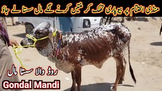 Low Prices Mix Different Animals On Gondal Maweshi Mandi Road  My Life Channel [upl. by Nivrad]