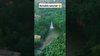 Harvalem waterfall Goa 📍🔥 viralvideo shortvideo viral youtubeshorts youtube goa [upl. by Ophelie606]