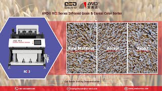 AMD® RCI3 NIR Grain Optical Sorter Processing Machine Price for PeeledHulled Oat Seeds Sorting [upl. by Nylhtak]