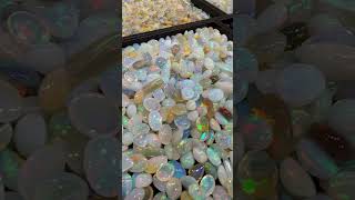 Natural opals by House of Opals JAGS2024 gems gem gemstones gemstone [upl. by Ylesara]