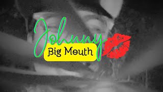 Johnny Big Mouth  Don Carlos  Val Ortiz Reggae Cover Audio Only [upl. by Attaynek]