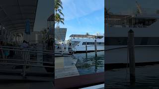 MIAMI A Rich Tropical Heaven shorts usatravel florida [upl. by Aitropal]