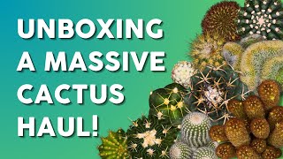 A Collectors Dream Unboxing Over 40 Unique Cacti 🌵 [upl. by Icyak11]