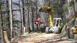 Menzi Muck M545 Harvester in Sachseln CH [upl. by Aillil]