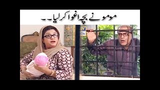 Momo Ne Baccha Aghwa Karliya  Mehmood Sahab  Bulbulay [upl. by Delphine]