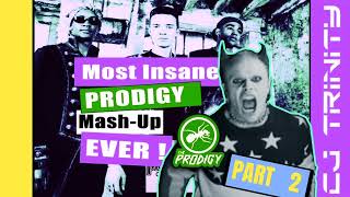 Most Insane Prodigy Mashup Ever Part 2 [upl. by Bozuwa]