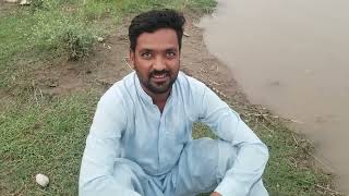 Darya Ravi Lahore new Update Lahore fishing hunting aqibch [upl. by Arorua]