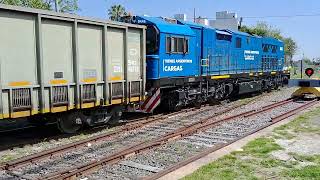 CRRC Qishuyan CDD5A1 n° 9446 con tren carbonero vacío por estación Haedo [upl. by Nipsirc]