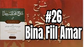 26 Mukhtasar Jiddan  Bina Fiil Amar [upl. by Mahoney]