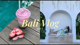 Bali Vlog pt1  Lovina Dolphin Tour Potato Head Beach Club BokashiRevolver Coffee [upl. by Rand]