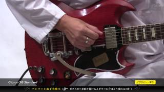 【デジマート地下実験室】ビグスビーを取り付けるとギターの音はどう変わるのか？〜Gibson SG Standard [upl. by Etana]