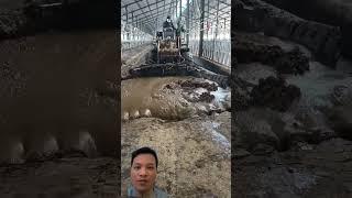 How to make biogas from the farm agriculture farming automobile animals technology knowledge [upl. by Athiste]