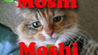 Why Japanese Say Moshi Moshi on the Telephone [upl. by Rodmur]