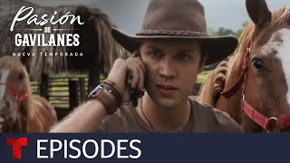 Pasión de Gavilanes New Season  Episode 7  Telemundo English [upl. by Napier]