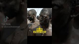 5 Major African Slave Tribe nicaragua jamaica aruba africa slaves history historyfacts [upl. by Giorgio]