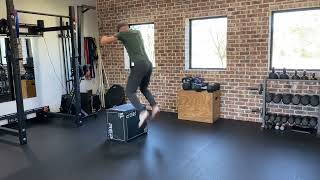 Box Jumps [upl. by Ethelind]