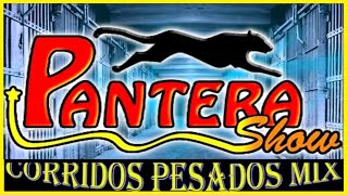 Grupo Pantera Show  Corridos Chingónes Mix 🎵 [upl. by Miksen734]