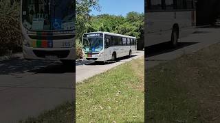 Mirim na linha 302 Caxangá x Ti TIP 🚌😏 busologo onibusbrasil mirim [upl. by Sayres]