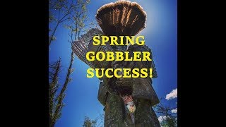 WV Spring Gobbler Hunting [upl. by Marsiella]