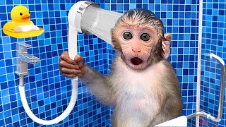 Monkey Baby Bon Bon Bathing In The Bathroom With Eating Fruit With Ducklings Side Swimming Pool [upl. by Vahe]