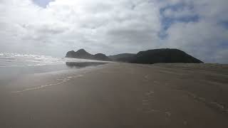 Exploring the stunning beauty of Bethells Beach part 13🌊✨ BethellsBeach NZAdventures BeachVibes [upl. by Pantheas]