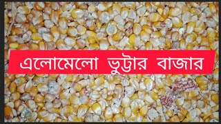 ভুট্টার বাজার দর পাইকারি দাম ৪১১২৪ corn price [upl. by Kunin]