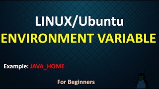 How to set environment variable in Linux  How to set path in Linux [upl. by Finny]