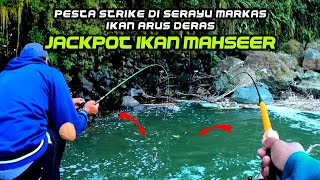 Mancing pakai umpan viral 2024 PESTA STRIKE  Jackpot ikan mahseer micro fishing [upl. by Michel]