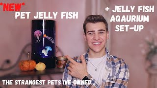 LIVE JELLYFISH Unboxing  JellyFish Tank SetUp Cycling and Ordering JellyFish [upl. by Phillida]