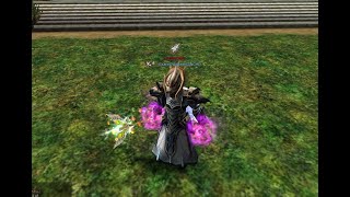 Knight Online Dragon Wings Kırdırma [upl. by Nosidda947]