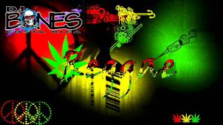 REGGAE VIEJO DjBones Costa Rica 2015 [upl. by Willy847]