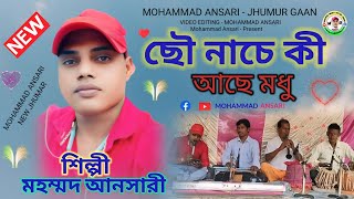 ছৌ নাচে কি আছে মধু  মহম্মদ আনসারী ঝুমুর গীত MohammadAnsarijhumur puruliajhumargan2024 [upl. by Gautier]