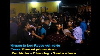 ORQUESTA LOS REYES DEL NORTESet completo en PECHICHECHANDUY Zona sur [upl. by Docilla278]