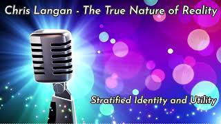 Chris Langan  Stratified Identity and Utility  The True Nature of Reality  CTMU [upl. by Dlnaod]