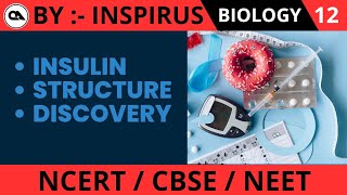 INSULIN  CBSE  CLASS 12  NCERT [upl. by Gernhard]