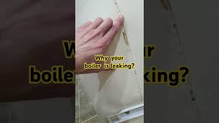 Why your boiler is leaking boiler leak [upl. by Nylsoj]