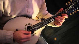 Irish mandolin lessons Leddy from cavan reel [upl. by Esdras]