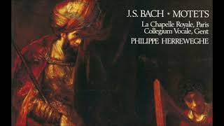 J S Bach – Motets BWV 225230 amp 118 – Ph Herreweghe [upl. by Amero]