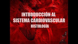 Introducción al estudio del sistema cardiovascular  Histología [upl. by Azral]