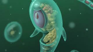 512 Bit 1024 Bit 2048 Bit 4096 Bit 8192 Bit 16384 Bit 32768 Bit 65536 Bit 131072 Bit Plankton [upl. by Ahsienyt992]